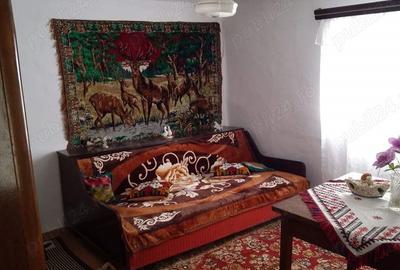 Casa + teren intravilan - 8