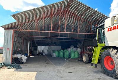 Spațiu industrial, de 5,000 mp, în Tișița - 23