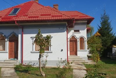 Casă cu 3 camere în Valea Brazilor - 3