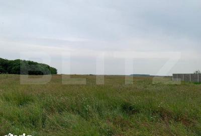 Teren de 672 mp, în Sânandrei - 4