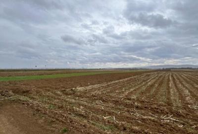 Teren extravilan 2500 mp,cu acces la Centura ,Radauti - 4