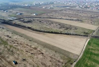 Teren de 24000 mp, în Moșnița Nouă - 1
