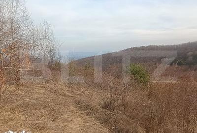 Teren de 12000 mp, în Stremț - 6