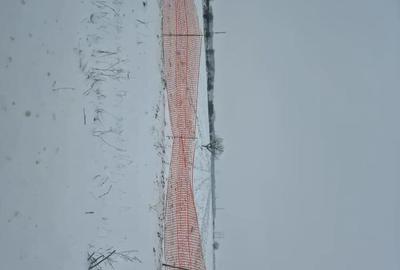 Teren de 2300 mp, în Dărăști-Ilfov