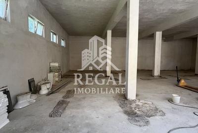 Spațiu industrial, de 250 mp, în Nord-Vest - 8