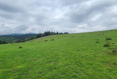 Parcele de vis in munti – Zona Arka Park, cu drum de acces si PUZ aprobat - 13