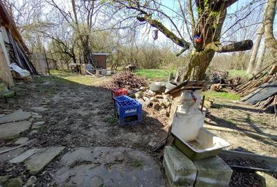 Casă individuală cu 8 camere cu Teren 3800 Mp în Răchitova - 11