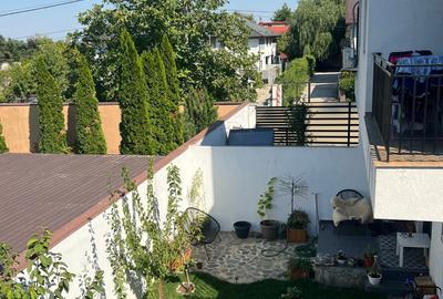 Viluta de vanzare in Tunari - 6