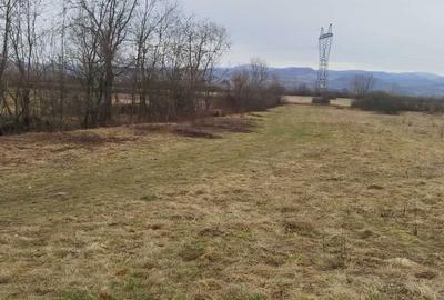 Teren de 3200 mp, în Culcea - 6