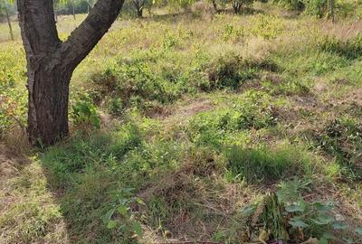 Vand casa in orasul Babadag, str. Valea Teilor, jud. Tulcea - 4