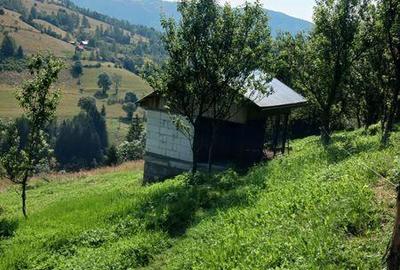 Casă cu 4 camere cu Teren 115 Mp în Albac