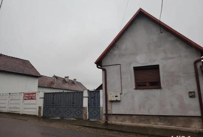 Vand casa in Seica Mare - 6