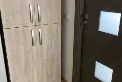 Garsonieră semidecomandată în Brazda lui Novac - 5