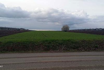 Spațiu comercial, în Proselnici - 1