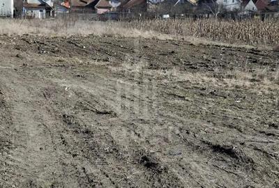 Teren de 435 mp, în Gușterița - 3