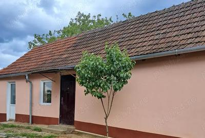 Casă cu 2 camere cu Teren 952 Mp în Central - 2