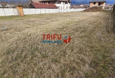 Spațiu comercial, în Micești - 4