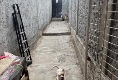 Casă de vânzare -zona Soveja cartier Anadalchioi - 5