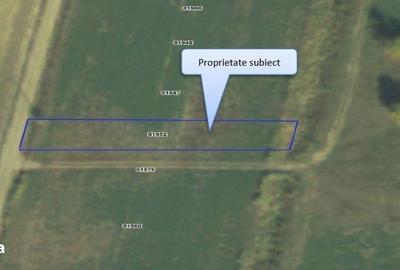 Teren de 5000 mp, în Lunca - 11