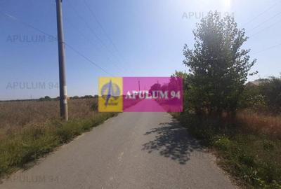 Teren Construcții intravilan de 1300 mp, în 1 Decembrie - 26