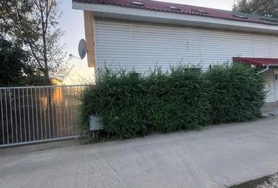 Casa Darza 5 camere ( la 3 km de Buftea) - 1