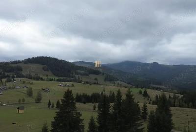 Teren de 16813 mp, în Fundu Moldovei - 2