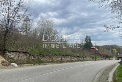 Vanzare teren intravilan - Runcu - oportunitate intr-o zona turistica deosebita - 1
