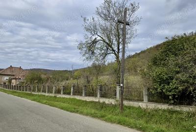 Casa de vanzare in Sanpetru Alma?ului, Hida, jud. Salaj-teren 7500 mp - 2