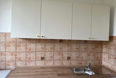 Apartament cu 2 camere semidecomandat în Domenii - 11