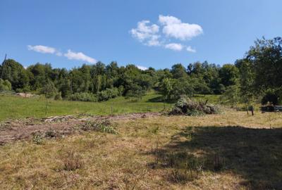 Teren de 4630 mp, în Becaș - 2