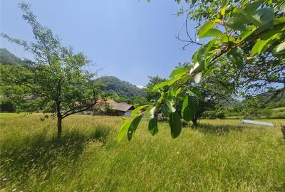 Teren de 1.450 mp, cu priveliste de carte postala, Bran, Moi - 2