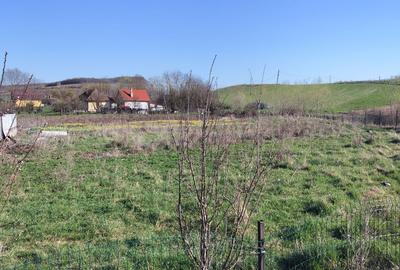 Spațiu comercial, în Suatu - 2