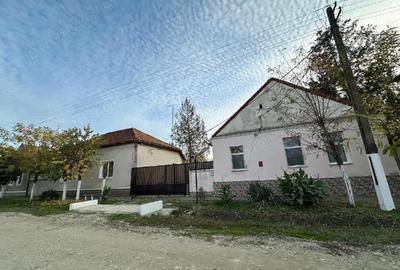 Casă cu 3 camere cu Teren 3000 Mp în Jamu Mare