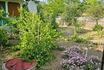 Casă cu 4 camere cu Teren 96 Mp în Oancea - 5