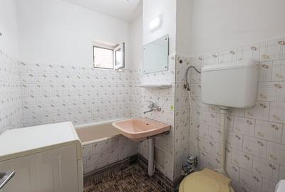 Vedere directă spre faleza Mureșului, disponibil acum Micalaca 300 - 8