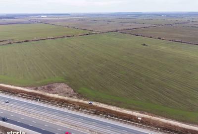 Teren de 29777 mp, în Dascălu