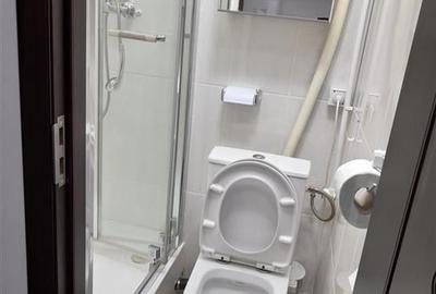 Inchiriere garsoniera temen lung/regim hotelier in Piata Al. Lahovari, Bucuresti - 16