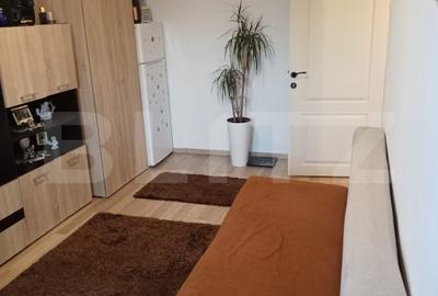 Garsoniera renovata complet, 24 mp, balcon, zona Marasti
