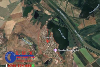 Teren de 1100 mp, în Murighiol