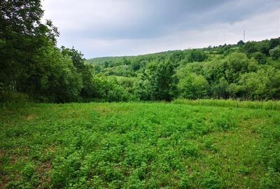 Teren Construcții intravilan de 2980 mp, în Grajduri - 2