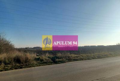 Sabareni, teren intravilan 8800 mp, pe DJ 602, pretabil... - 3