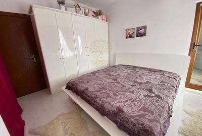 Apartament cu 2 camere semidecomandat, mobilat în Chitila - 4