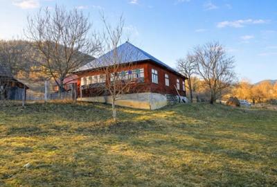 Casă individuală cu 4 camere cu Teren 8400 Mp în Lunca Ilvei - 1