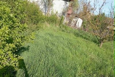 Casă cu 1 camere în Bogata - 2