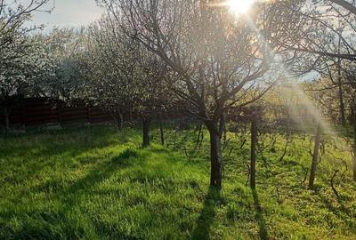 Casă cu 3 camere în Dancu - 1