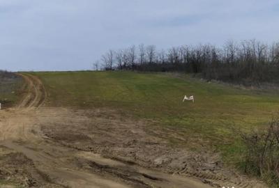 Teren în Șimnicu de Sus - 2