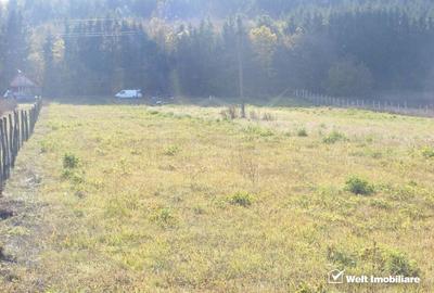 Teren Construcții extravilan de 10800 mp, în Gilău - 3