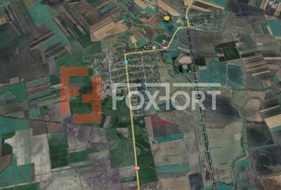 COMISION 0% Teren Extravilan Agricol, Beregsau Mare - Zona in dezvoltare - 3