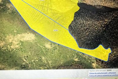 Teren de 780000 mp, în Padeș - 5