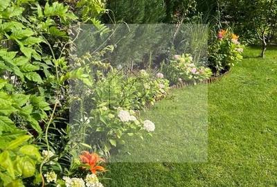 COM 0% I Vila Tunari Otopeni 50m pana la padure | teren 400mp | OCAZIE - 17